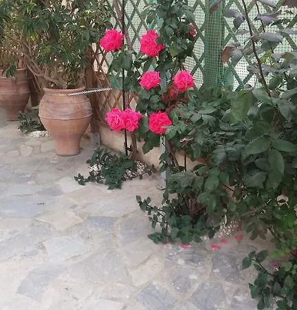 Annie Διαμέρισμα *